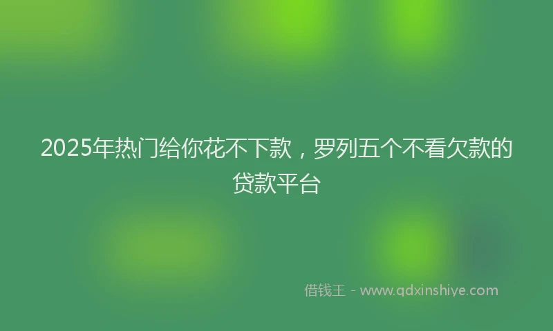 2025年热门给你花不下款，罗列五个不看欠款的贷款平台