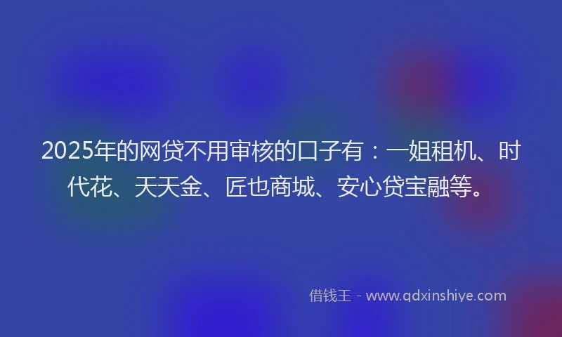 2025年的网贷不用审核的口子有：一姐租机、时代花、天天金、匠也商城、安心贷宝融等。