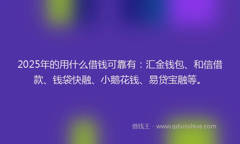 2025年的用什么借钱可靠有：汇金钱包、和信借款、钱袋快融、小鹅花钱、易贷宝融等。