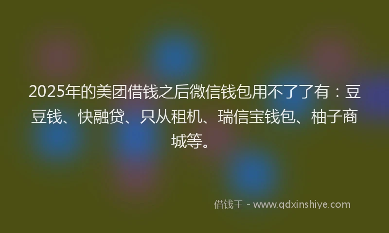 2025年的美团借钱之后微信钱包用不了了有：豆豆钱、快融贷、只从租机、瑞信宝钱包、柚子商城等。