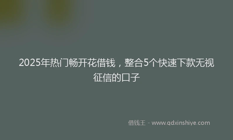 2025年热门畅开花借钱,整合5个快速下款无视征信的口子