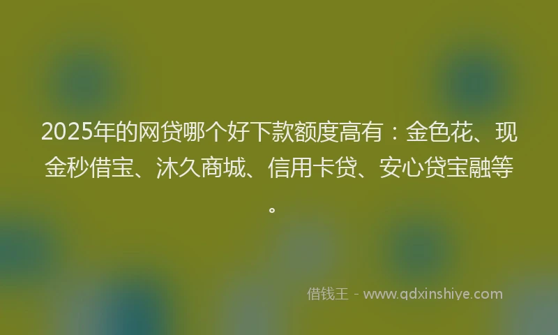 2025年的网贷哪个好下款额度高有：金色花、现金秒借宝、沐久商城、信用卡贷、安心贷宝融等。