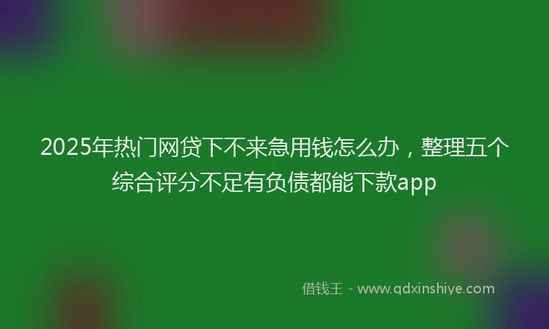 2025年热门网贷下不来急用钱怎么办，整理五个综合评分不足有负债都能下款app