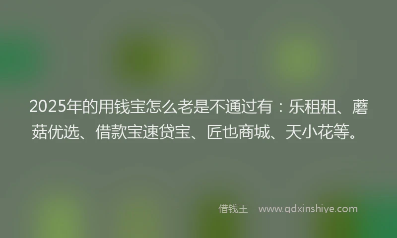 2025年的用钱宝怎么老是不通过有：乐租租、蘑菇优选、借款宝速贷宝、匠也商城、天小花等。
