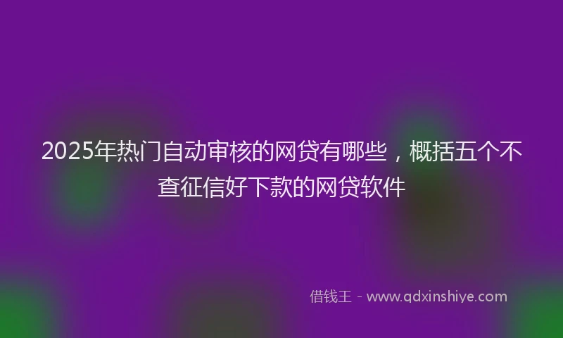 2025年热门自动审核的网贷有哪些，概括五个不查征信好下款的网贷软件