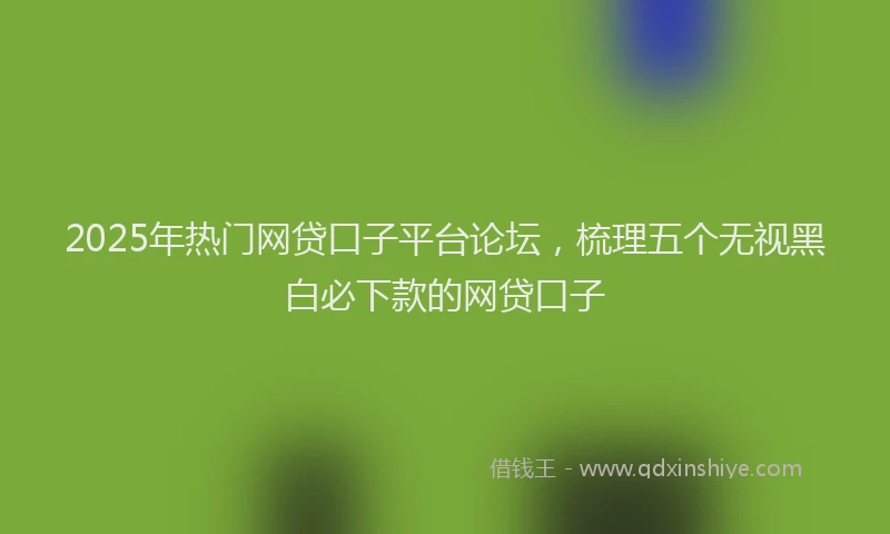 2025年热门网贷口子平台论坛，梳理五个无视黑白必下款的网贷口子