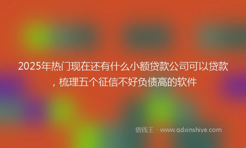 2025年热门现在还有什么小额贷款公司可以贷款，梳理五个征信不好负债高的软件