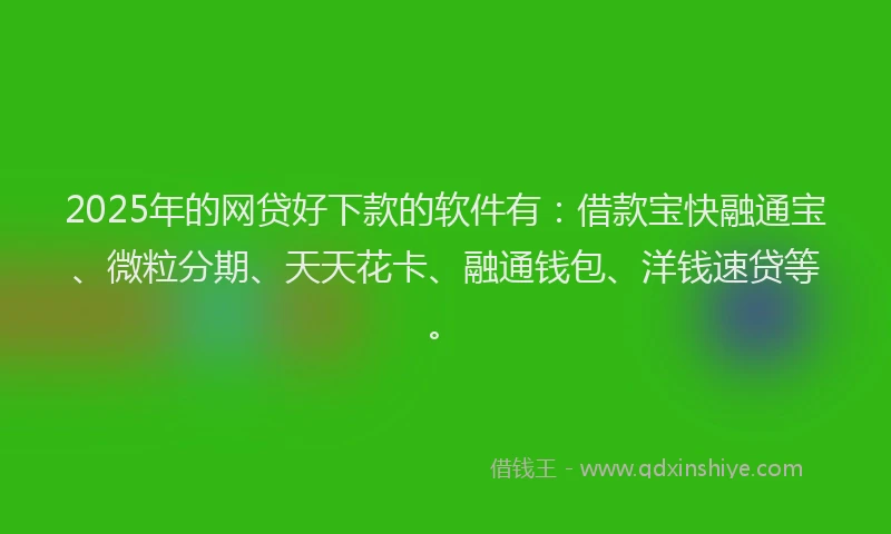 2025年的网贷好下款的软件有：借款宝快融通宝、微粒分期、天天花卡、融通钱包、洋钱速贷等。