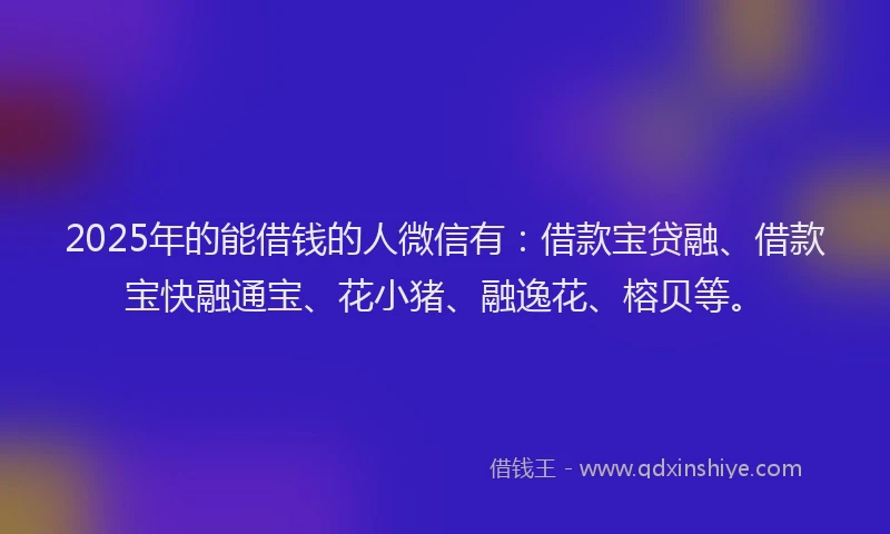 2025年的能借钱的人微信有：借款宝贷融、借款宝快融通宝、花小猪、融逸花、榕贝等。