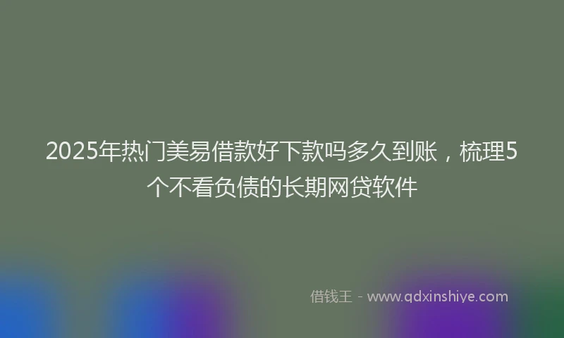 2025年热门美易借款好下款吗多久到账，梳理5个不看负债的长期网贷软件