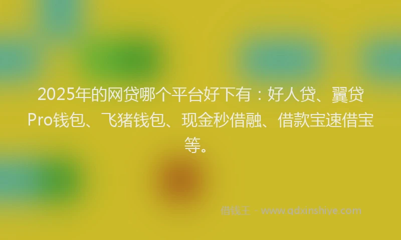 2025年的网贷哪个平台好下有：好人贷、翼贷Pro钱包、飞猪钱包、现金秒借融、借款宝速借宝等。