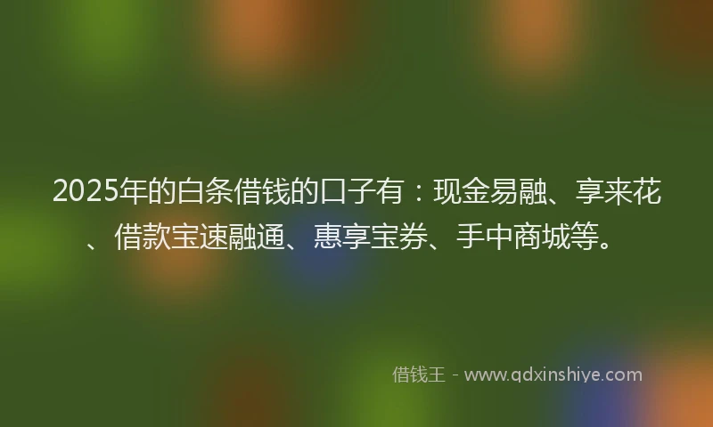 2025年的白条借钱的口子有：现金易融、享来花、借款宝速融通、惠享宝券、手中商城等。