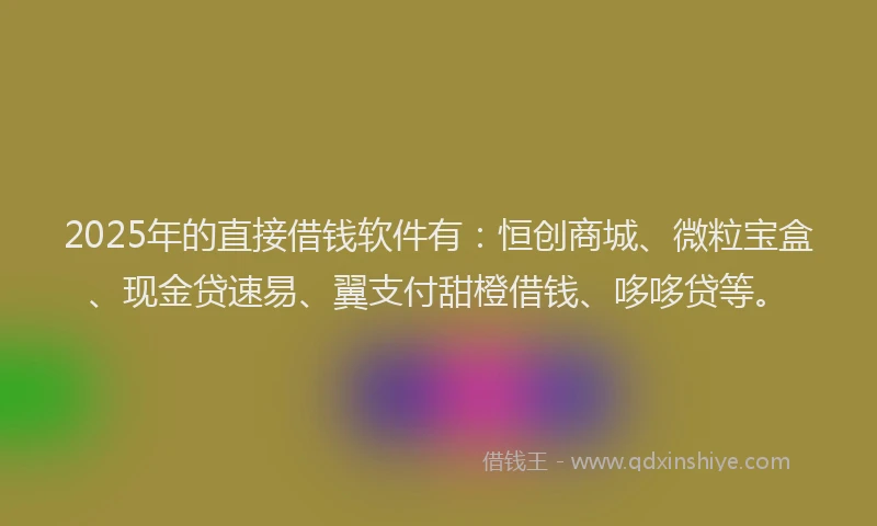 2025年的直接借钱软件有：恒创商城、微粒宝盒、现金贷速易、翼支付甜橙借钱、哆哆贷等。