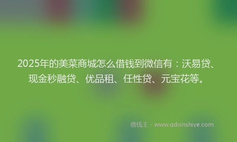 2025年的美菜商城怎么借钱到微信有:沃易贷、现金秒融贷、优品租、任性贷、元宝花等。