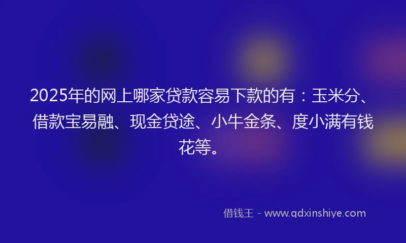 2025年的网上哪家贷款容易下款的有:玉米分、借款宝易融、现金贷途、小牛金条、度小满有钱花等。