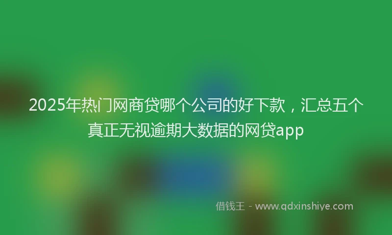 2025年热门网商贷哪个公司的好下款，汇总五个真正无视逾期大数据的网贷app