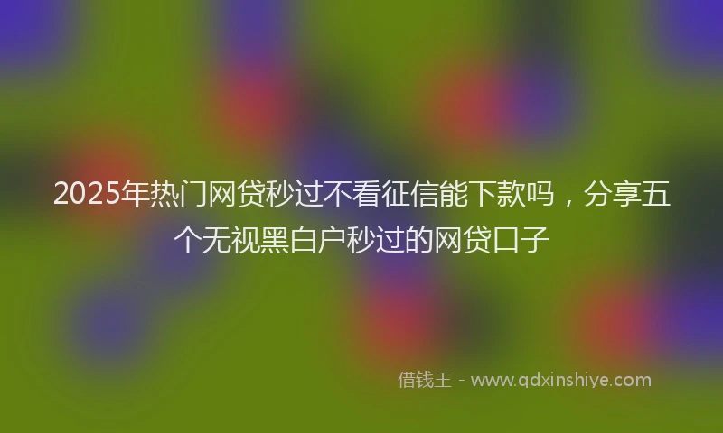 2025年热门网贷秒过不看征信能下款吗，分享五个无视黑白户秒过的网贷口子