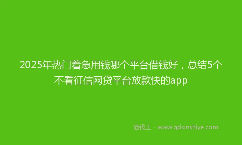 2025年热门着急用钱哪个平台借钱好，总结5个不看征信网贷平台放款快的app