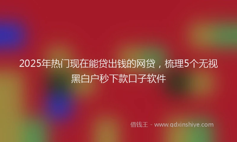 2025年热门现在能贷出钱的网贷，梳理5个无视黑白户秒下款口子软件