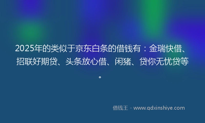 2025年的类似于京东白条的借钱有：金瑞快借、招联好期贷、头条放心借、闲猪、贷你无忧贷等。