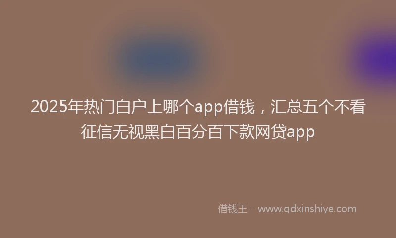 2025年热门白户上哪个app借钱，汇总五个不看征信无视黑白百分百下款网贷app