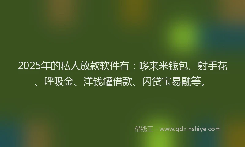 2025年的私人放款软件有:哆来米钱包、射手花、呼吸金、洋钱罐借款、闪贷宝易融等。