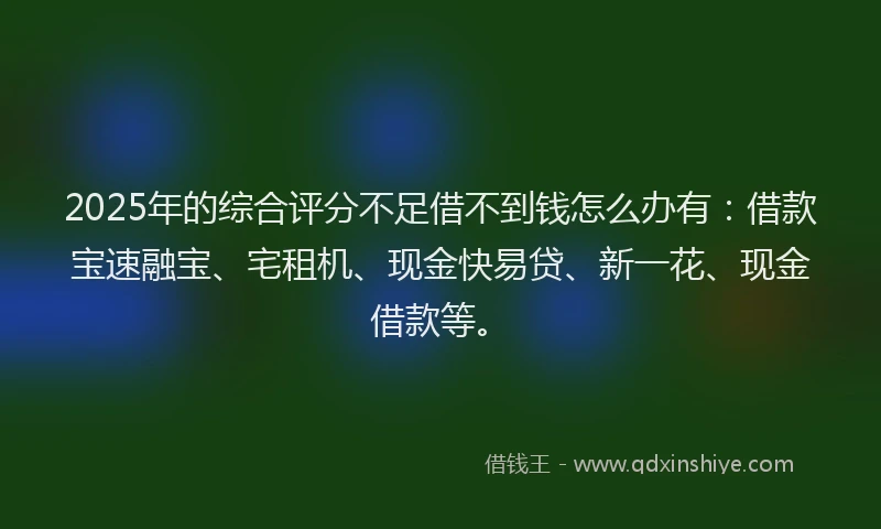 2025年的综合评分不足借不到钱怎么办有：借款宝速融宝、宅租机、现金快易贷、新一花、现金借款等。