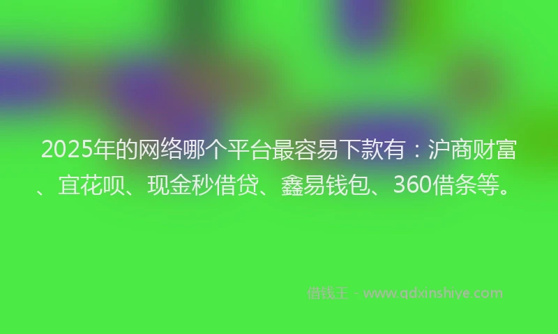 2025年的网络哪个平台最容易下款有：沪商财富、宜花呗、现金秒借贷、鑫易钱包、360借条等。