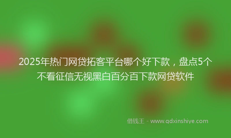 2025年热门网贷拓客平台哪个好下款，盘点5个不看征信无视黑白百分百下款网贷软件