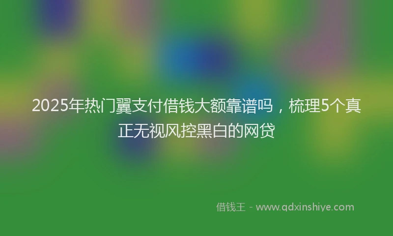 2025年热门翼支付借钱大额靠谱吗，梳理5个真正无视风控黑白的网贷