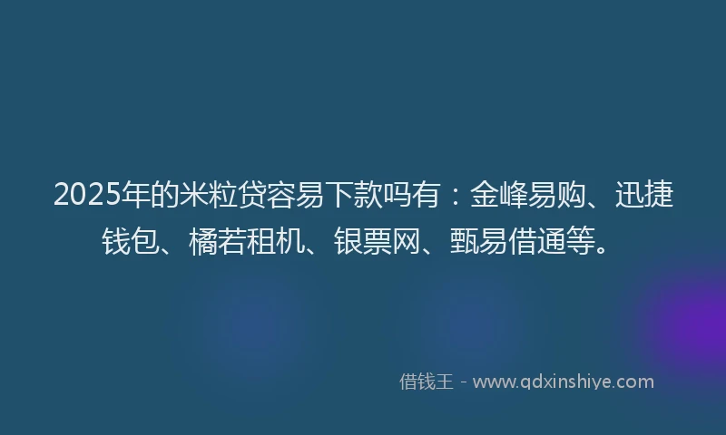 2025年的米粒贷容易下款吗有：金峰易购、迅捷钱包、橘若租机、银票网、甄易借通等。
