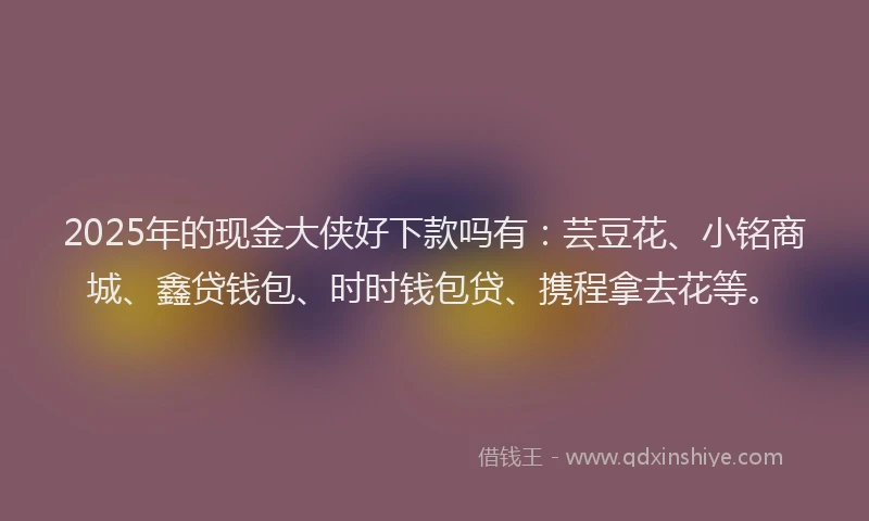 2025年的现金大侠好下款吗有:芸豆花、小铭商城、鑫贷钱包、时时钱包贷、携程拿去花等。