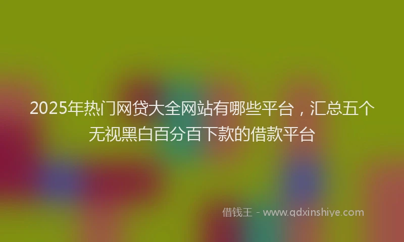 2025年热门网贷大全网站有哪些平台，汇总五个无视黑白百分百下款的借款平台
