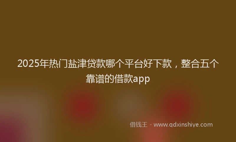 2025年热门盐津贷款哪个平台好下款，整合五个靠谱的借款app