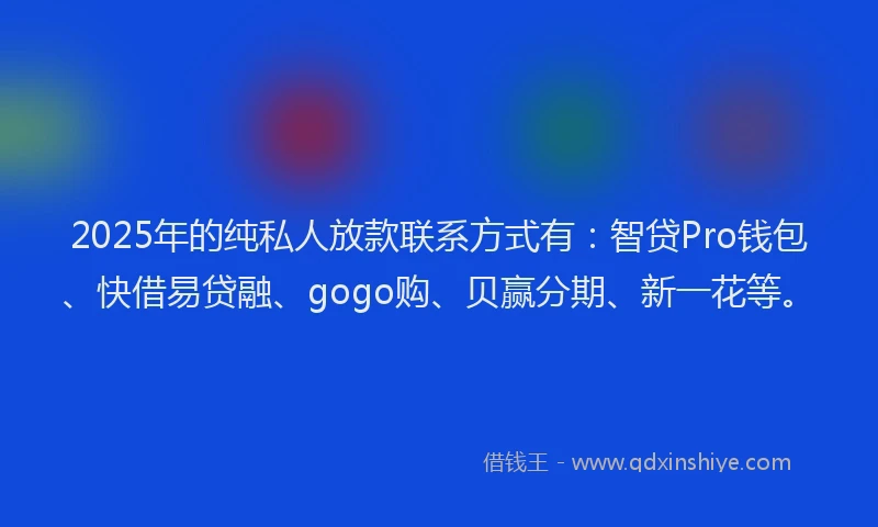 2025年的纯私人放款联系方式有：智贷Pro钱包、快借易贷融、gogo购、贝赢分期、新一花等。