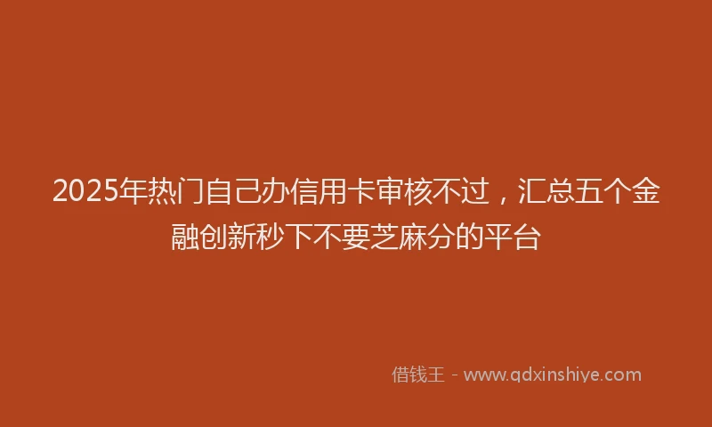 2025年热门自己办信用卡审核不过，汇总五个金融创新秒下不要芝麻分的平台