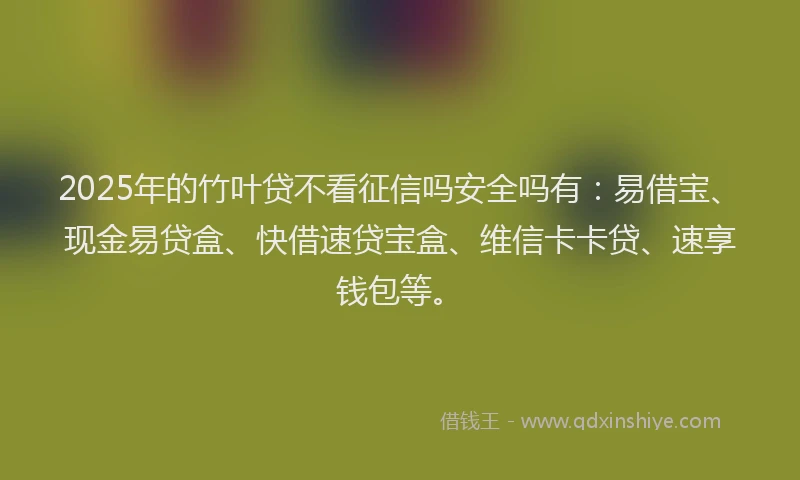 2025年的竹叶贷不看征信吗安全吗有:易借宝、现金易贷盒、快借速贷宝盒、维信卡卡贷、速享钱包等。