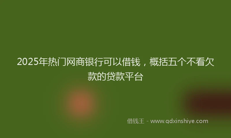 2025年热门网商银行可以借钱，概括五个不看欠款的贷款平台