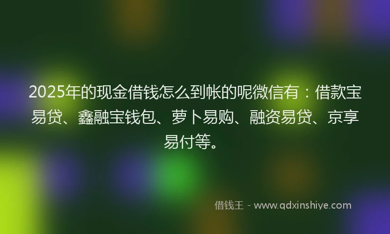 2025年的现金借钱怎么到帐的呢微信有:借款宝易贷、鑫融宝钱包、萝卜易购、融资易贷、京享易付等。
