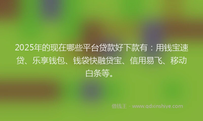 2025年的现在哪些平台贷款好下款有：用钱宝速贷、乐享钱包、钱袋快融贷宝、信用易飞、移动白条等。
