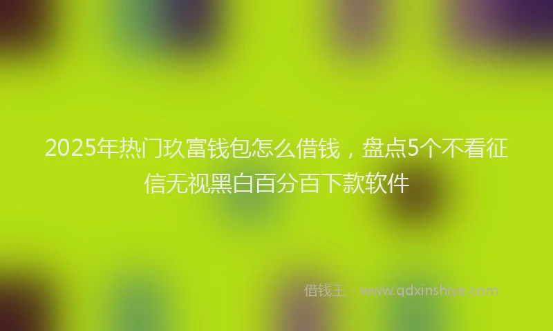 2025年热门玖富钱包怎么借钱，盘点5个不看征信无视黑白百分百下款软件