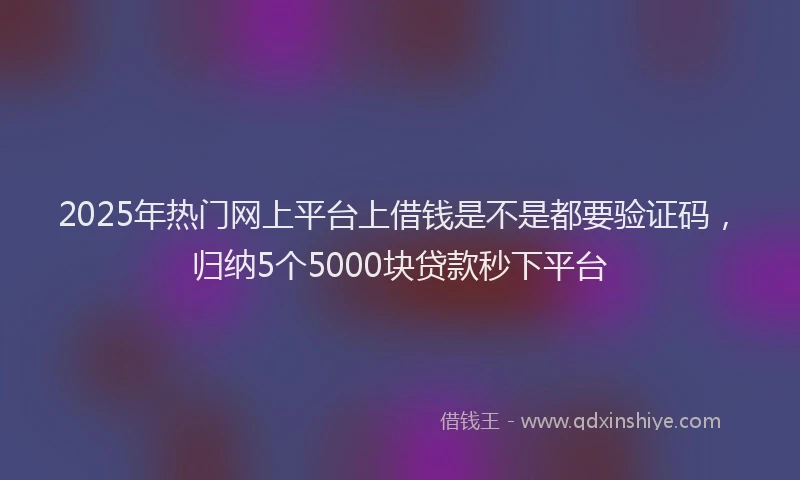 2025年热门网上平台上借钱是不是都要验证码，归纳5个5000块贷款秒下平台