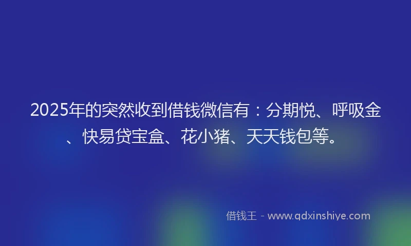 2025年的突然收到借钱微信有:分期悦、呼吸金、快易贷宝盒、花小猪、天天钱包等。