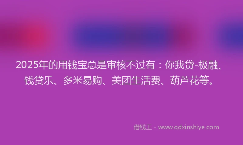 2025年的用钱宝总是审核不过有：你我贷-极融、钱贷乐、多米易购、美团生活费、葫芦花等。