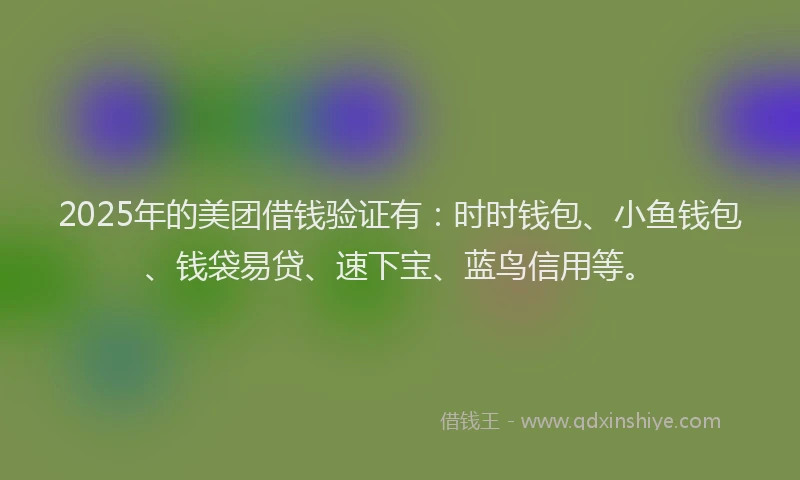 2025年的美团借钱验证有:时时钱包、小鱼钱包、钱袋易贷、速下宝、蓝鸟信用等。