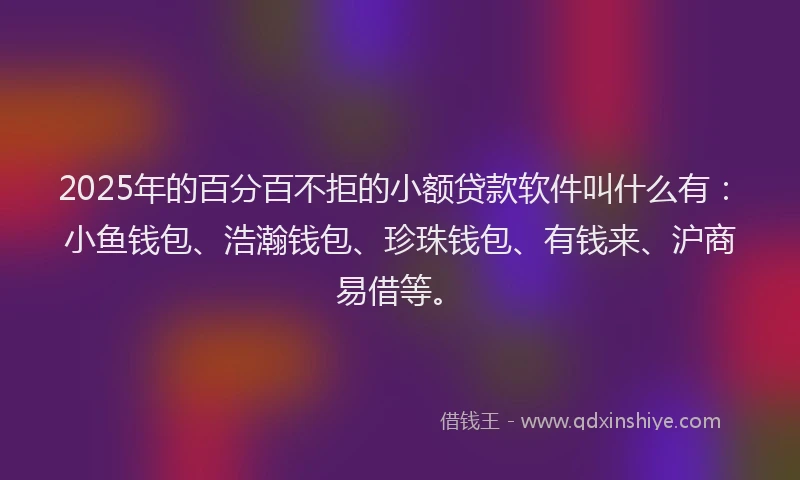 2025年的百分百不拒的小额贷款软件叫什么有：小鱼钱包、浩瀚钱包、珍珠钱包、有钱来、沪商易借等。