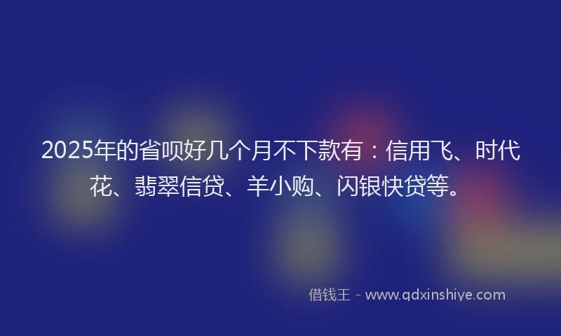 2025年的省呗好几个月不下款有：信用飞、时代花、翡翠信贷、羊小购、闪银快贷等。