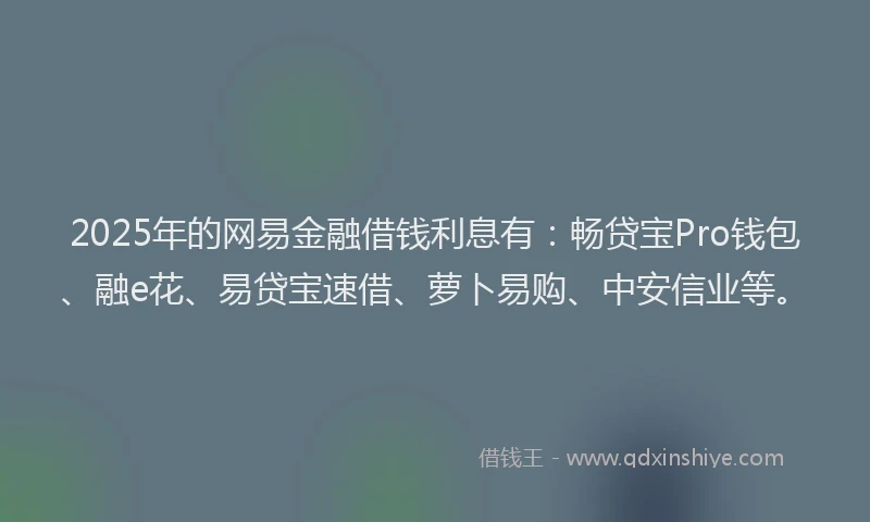 2025年的网易金融借钱利息有:畅贷宝Pro钱包、融e花、易贷宝速借、萝卜易购、中安信业等。