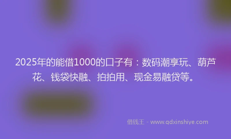 2025年的能借1000的口子有:数码潮享玩、葫芦花、钱袋快融、拍拍用、现金易融贷等。