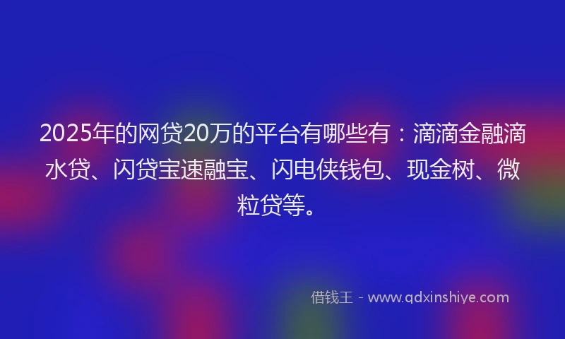 2025年的网贷20万的平台有哪些有：滴滴金融滴水贷、闪贷宝速融宝、闪电侠钱包、现金树、微粒贷等。